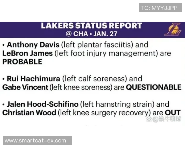 2018年湖人与黄蜂的精彩对决回顾与赛季影响分析 2018年湖人与黄蜂的精彩对决回顾与赛季影响分析