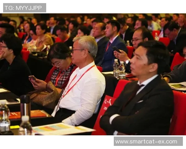 布洛马波对决精彩回顾分析及未来发展趋势探讨