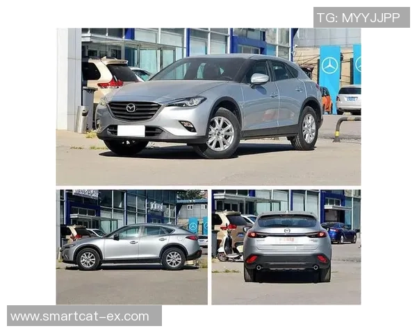 帕梅拉斯与克鲁赛罗激战正酣谁能在这场对决中笑到最后