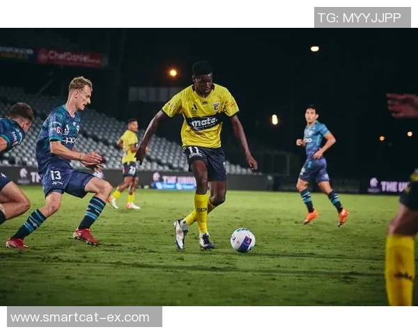 惠灵顿凤凰对阵中央海岸水手精彩直播全程回顾与分析 惠灵顿凤凰对阵中央海岸水手精彩直播全程回顾与分析