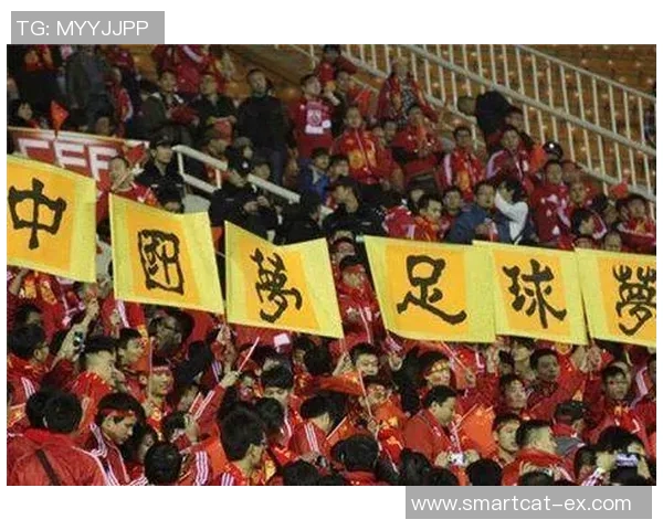 深圳与石家庄足球对决前瞻分析及胜负预测解析